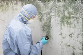 Best Environmental Consulting for Mold Prevention  in Lakewood Ranch, FL